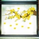 Decal trang trí tết mai vàng nở rộ đón xuân sang