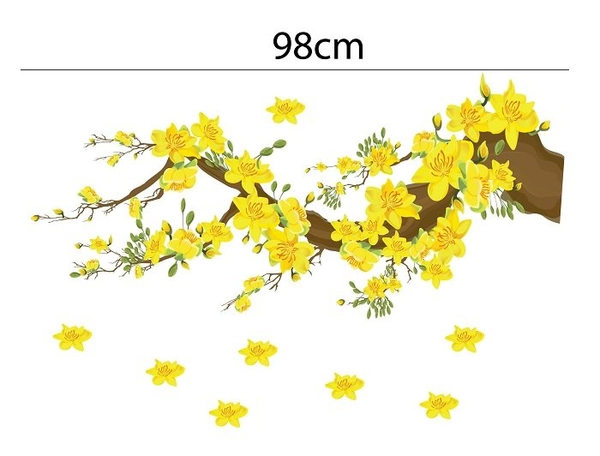 Decal trang trí tết mai vàng nở rộ đón xuân sang