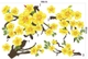 Decal trang trí tết mai vàng nở rộ xuân sang tài lộc