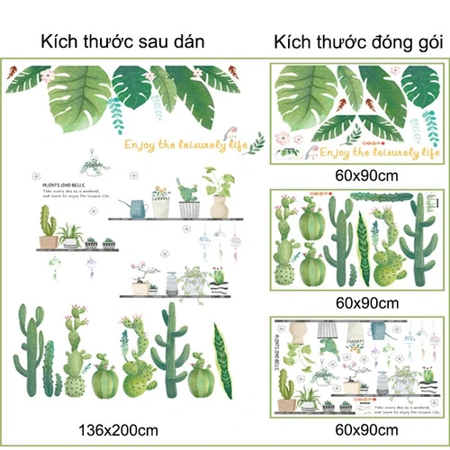Combo decal bộ lá cây xanh và xương rồng