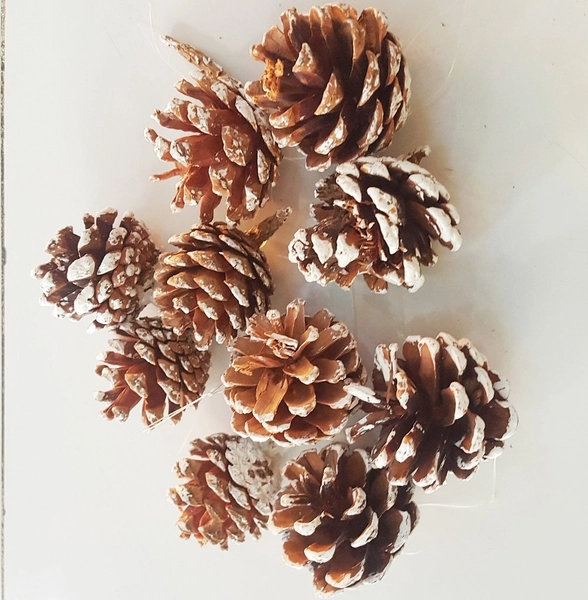 Hộp quả thông trang trí noel