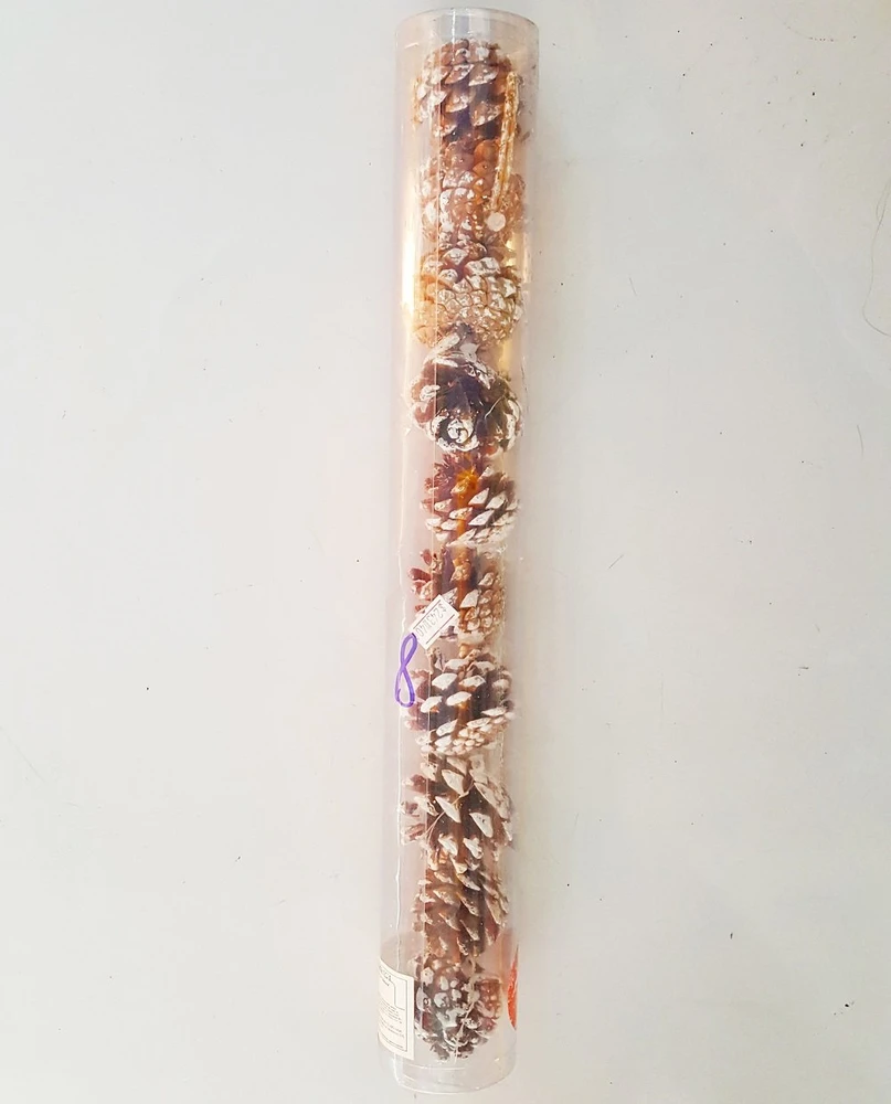 Hộp quả thông trang trí noel