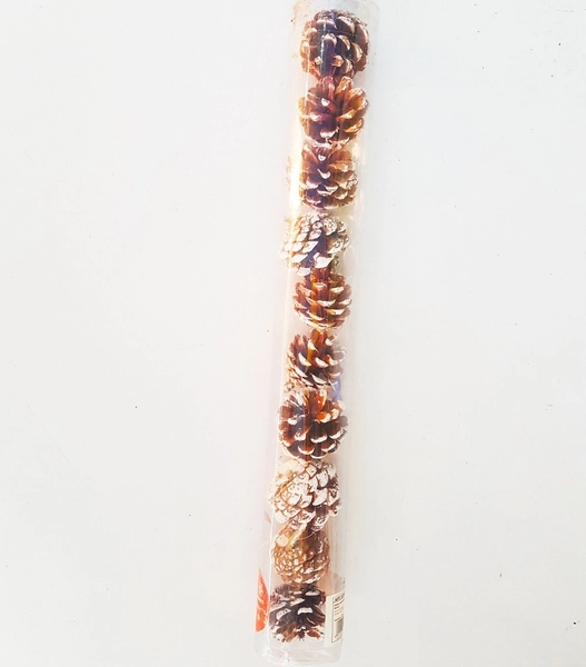 Hộp quả thông trang trí noel