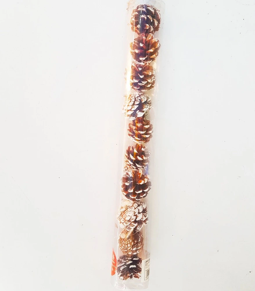 Hộp quả thông trang trí noel