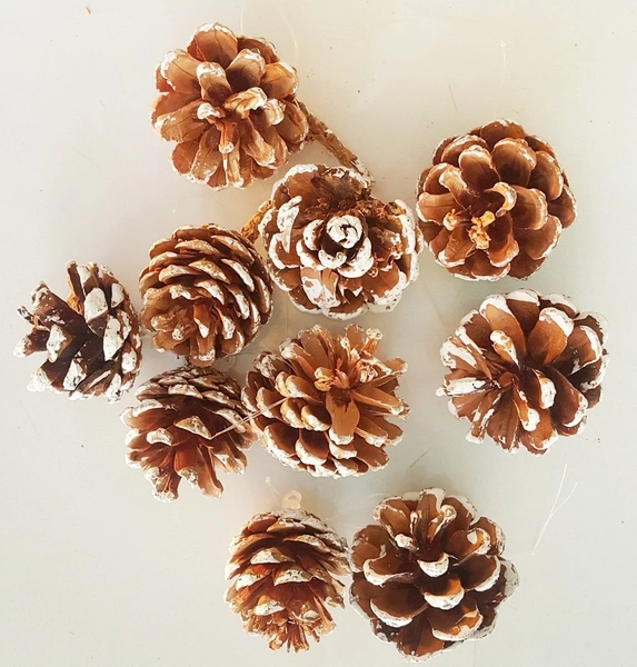 Hộp quả thông trang trí noel