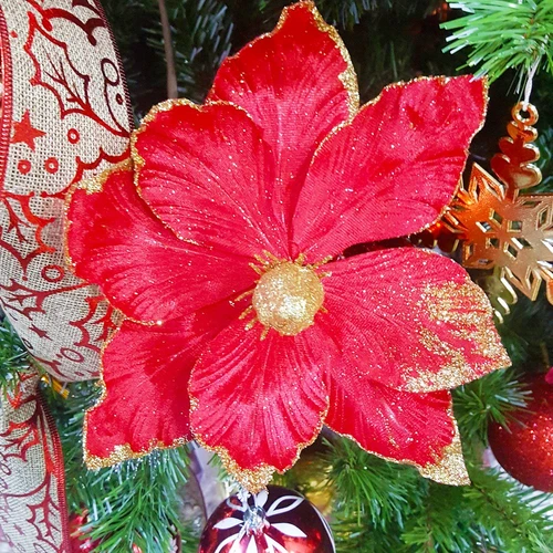 Hoa trạng nguyên to trang trí noel