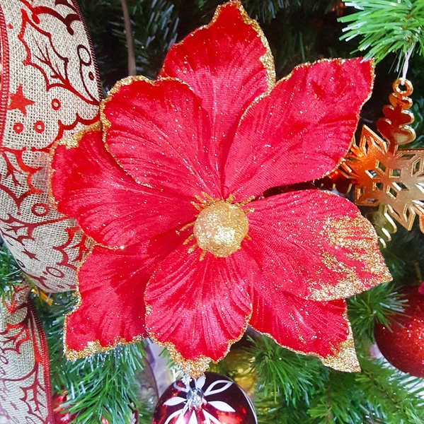 Hoa trạng nguyên to trang trí noel