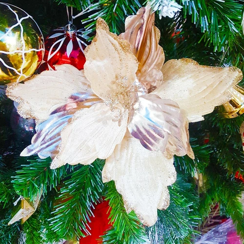 Hoa trạng nguyên to trang trí noel