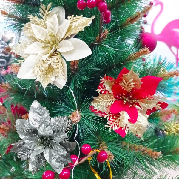 Hoa trạng nguyên size trung trang trí Noel