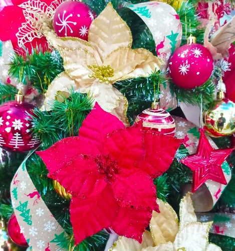 Đồ trang trí noel hoa trạng nguyên trang trí cây thông