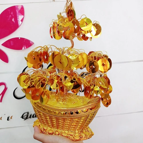 Cây phát tài đồng tiền vàng trang trí tết