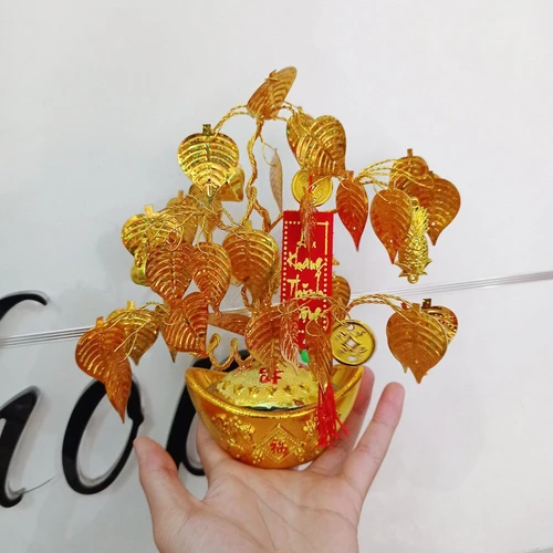 Cây phát tài liễn đỏ an khang thịnh vượng trang trí tết