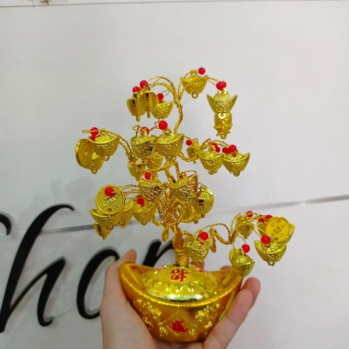 Cây phát tài vàng và trái đỏ trang trí tết