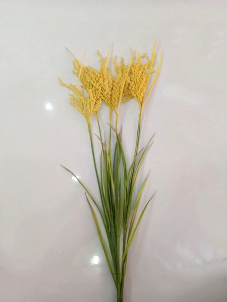 Bông lúa vàng trang trí tết (1 cành 70cm)
