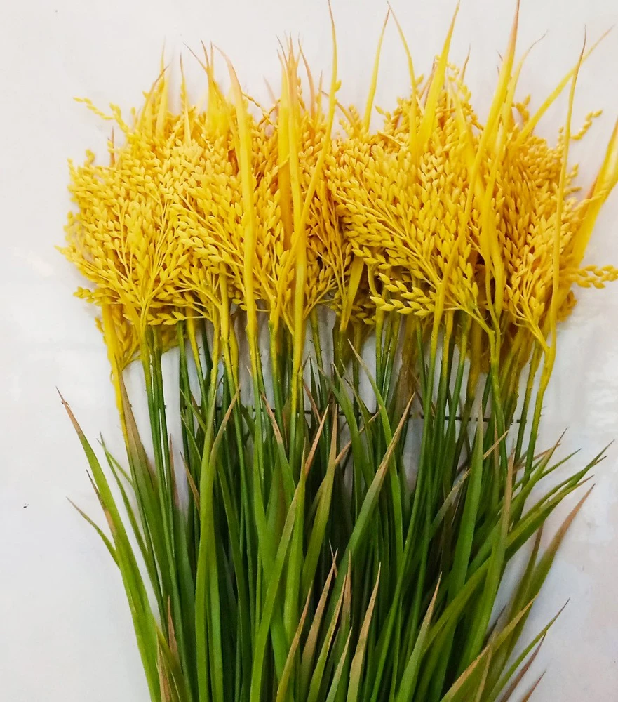 Bông lúa vàng trang trí tết