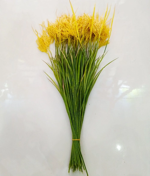 Bông lúa vàng trang trí tết (1 cành 70cm)