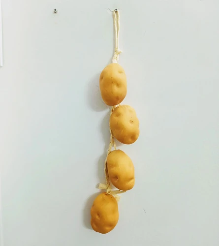 Dây khoai tây giả trang trí