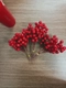 Set 10 cành Cherry đỏ trang trí tết