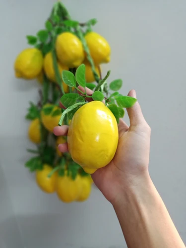 Dây Chanh vàng giả trang trí
