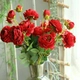 Cành hoa hồng lụa đỏ trang trí tết