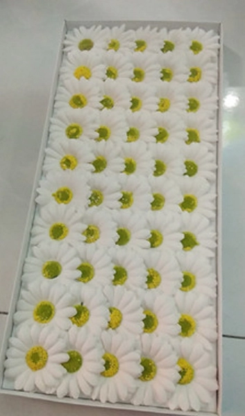 Hộp hoa cúc họa mi sáp thơm