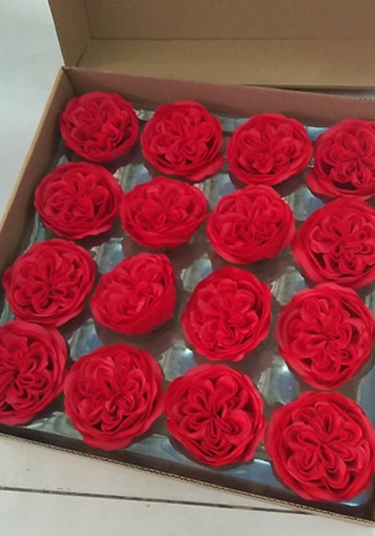 Hộp 16 hoa mẫu đơn sáp