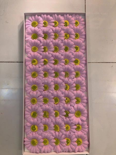 Hộp hoa cúc họa mi sáp thơm