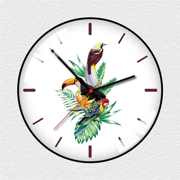 Đồng hồ vintage chim vẹt