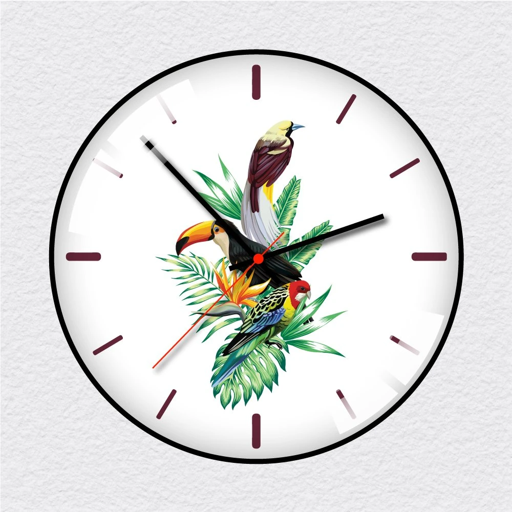 Đồng hồ vintage chim vẹt