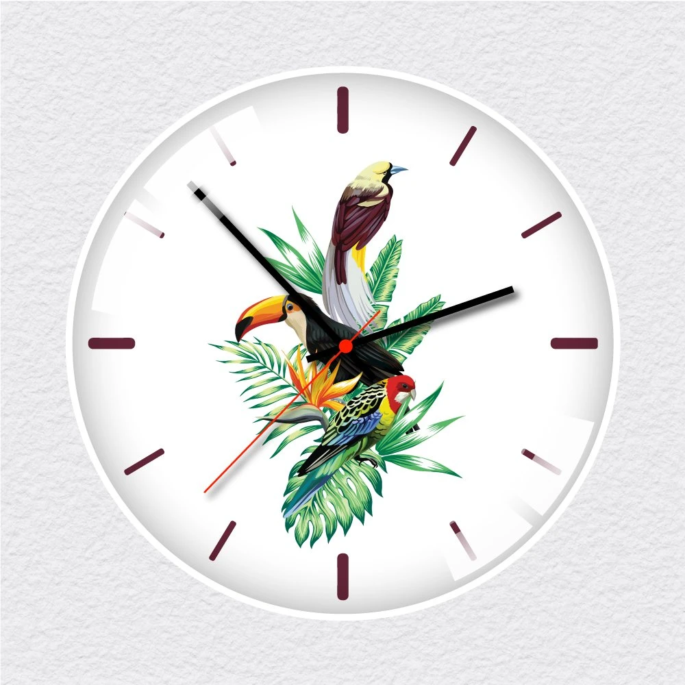 Đồng hồ vintage chim vẹt