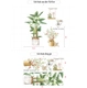 Decal dán tường chậu cây xanh good life meet slow