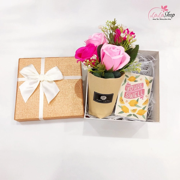 Set Hộp Quà Tặng Chậu Hoa Yêu Thương Kèm Thiệp