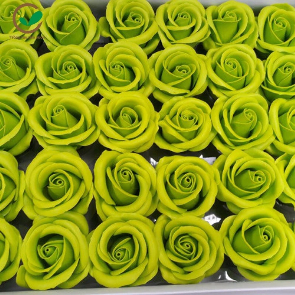 Hộp hoa hồng sáp thơm xanh cốm 50 bông