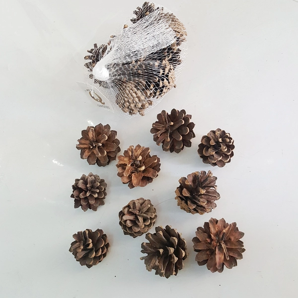 Set 10 quả thông thật trang trí cây thông noel