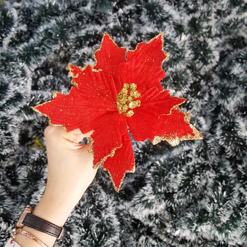 Hoa trạng nguyên đỏ trang trí