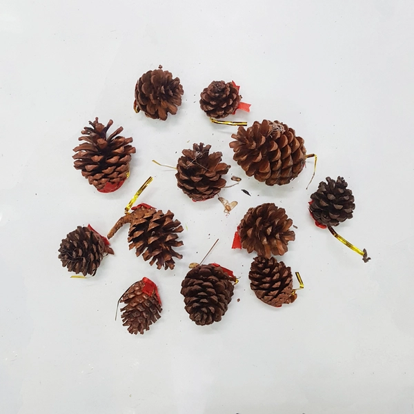 Set 12 quả thông trang trí noel 3 màu size nhỏ