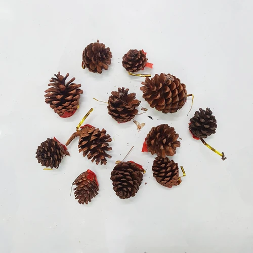 Set 12 quả thông trang trí noel 3 màu