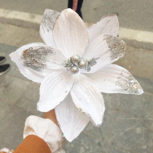 Hoa trạng nguyên to 2 trang trí noel