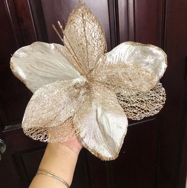 Hoa trạng nguyên lá to cao cấp và gân lá