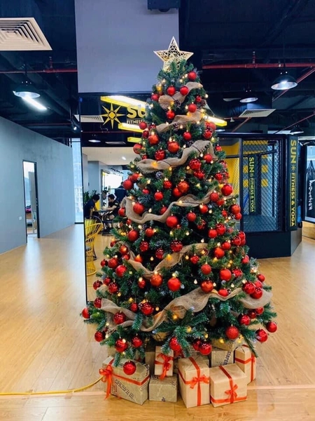 Cây Thông Noel 1m5 và 1m8 Full Phụ Kiện Tone Đỏ Cao Cấp