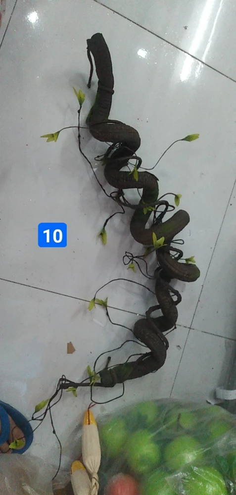 Rễ cây cổ thụ lớn phụ kiện trang trí