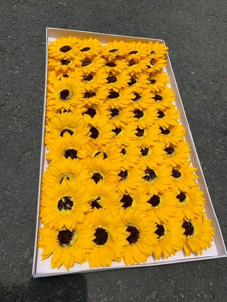 Hộp 50 hoa hướng dương sáp lớn