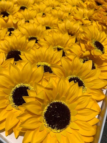 Hộp 50 hoa hướng dương sáp lớn