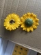 Hộp hoa hướng dương sáp cao cấp 25 bông