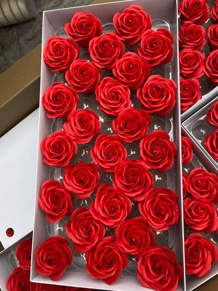 Hộp 25 đầu hoa hồng sáp đỏ 5 lớp cao cấp