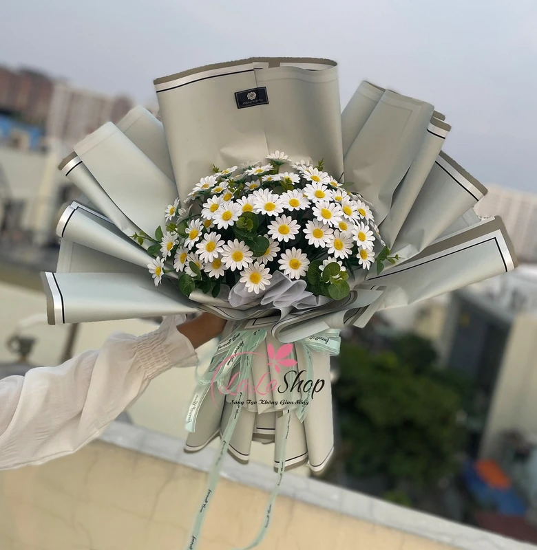 Bó hoa cúc họa mi