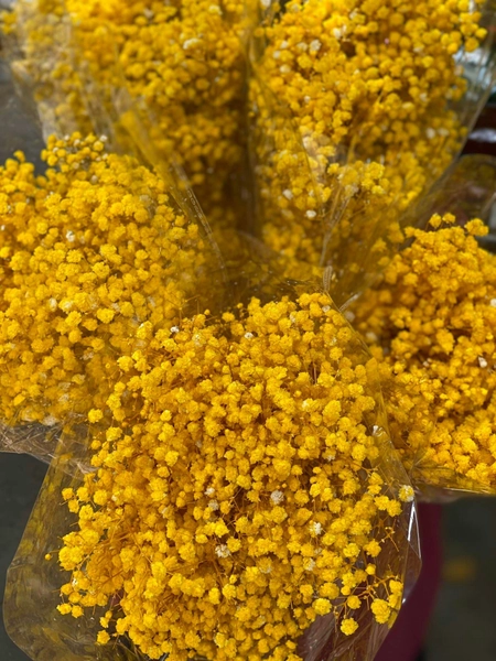 Hoa khô baby nhiều màu trang trí 100gr/bịch