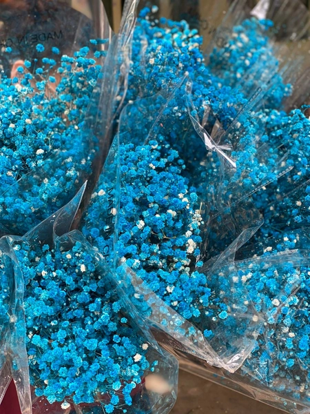 Hoa khô baby nhiều màu trang trí 100gr/bịch