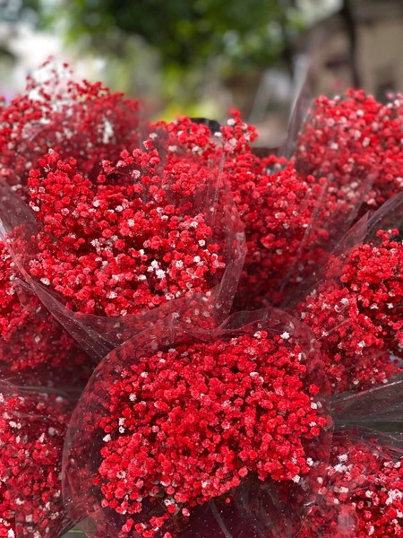 Hoa khô baby nhiều màu trang trí 100gr/bịch