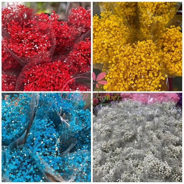 Hoa khô baby nhiều màu trang trí 100gr/bịch